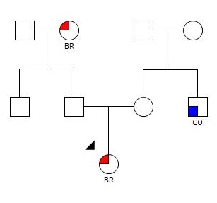 webpedigree2