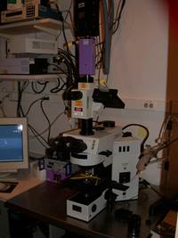 Microscope