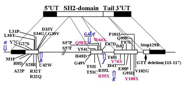 Mutations in human SH2D1A