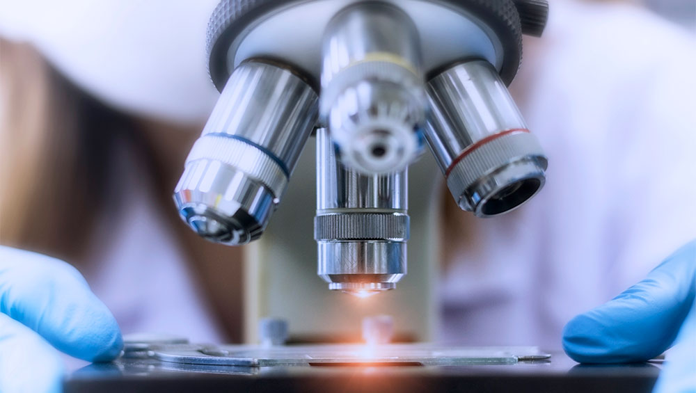 Researcher looks through microscope