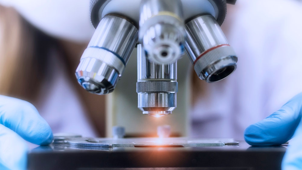 someone using a microscope