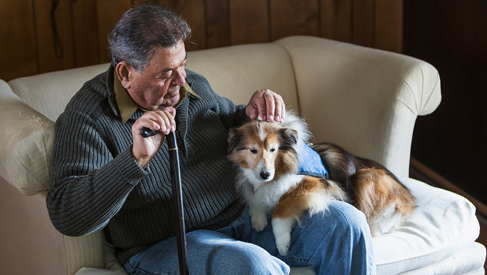 A senior man is sitting with his dog on the couch.