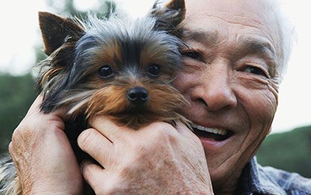 How your cancer can affect your pets