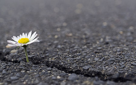 Changing landscape of living with advanced cancer