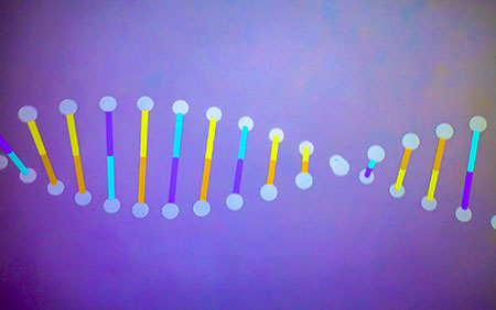 Knowing Your BRCA Status Improves Survival from Breast and Other Cancers