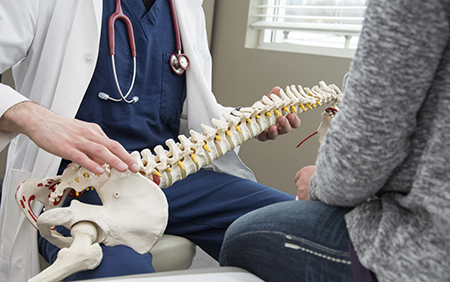 Fun Facts About Bones and Joints