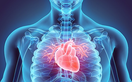 Augmented Reality May Assist Cardiologists Plan and Perform Complex Procedures