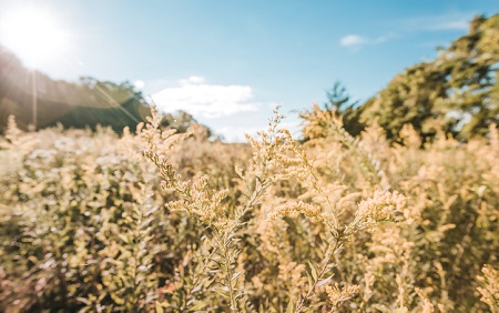 Some Boston Doctors Bring Climate Change Into The Exam Room — Warily