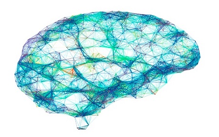Neuroscientists Shed Light on How the Brain Links Objects with Meaning and Value