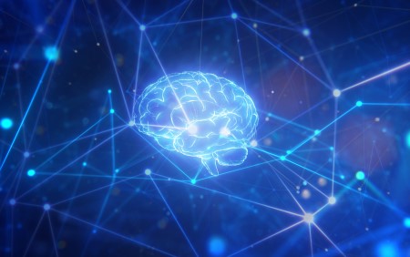 Reconcilable Differences: Wiring Diagram of the Brain Provides a Clearer Picture of Brain Scan Data