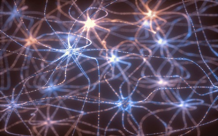 Us vs. Them: Understanding the Neurobiology of Stereotypes