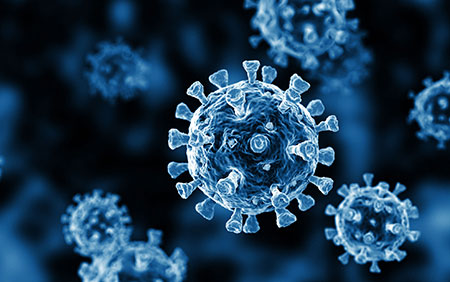 Coronavirus Cells