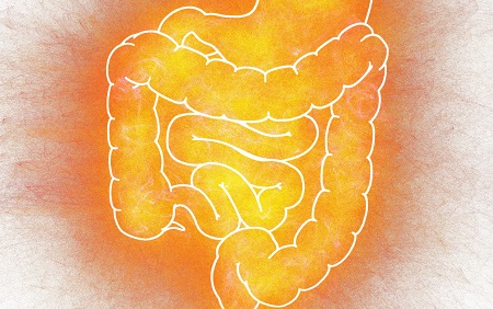 Study: Obesity Associated with Abnormal Bowel Habits – Not Diet