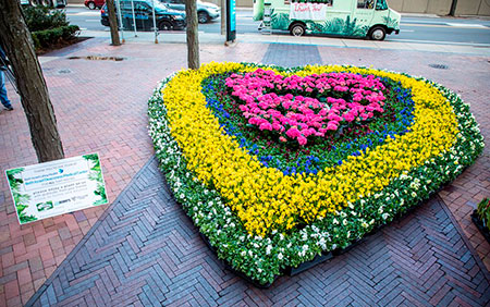 Lessons Learned: Reflections on What We’ve Lost and What We’ve Gained Through COVID-19