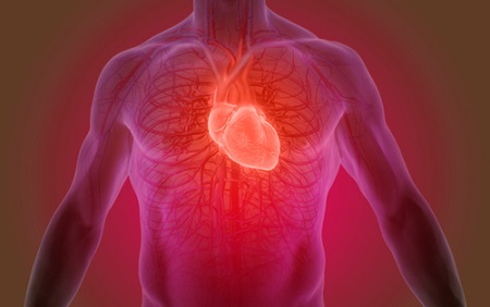 Study Results Offer Ability To Individualize Treatment Duration of Blood Thinning Drugs