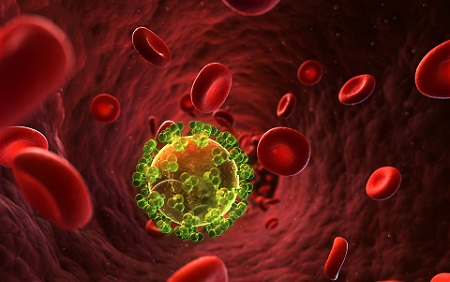 HIV cells