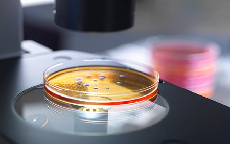 Research May Help Rescue Antibiotics’ Effectiveness in the Face of Drug-Resistant Bacteria