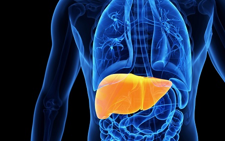 Using AI to Find a Less-Invasive Alternative to Liver Biopsy