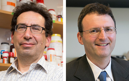 Precision Equity: BIDMC Scientists Pave Way for Potential Cure for Severe Kidney Disease Disproportionately Affecting Black Individuals