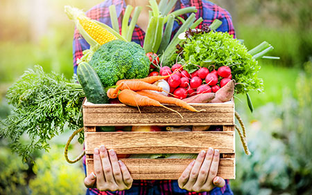 Farm Vegetables in Wooden Box