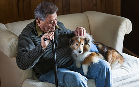 How Pets Have Helped Us Through the Pandemic