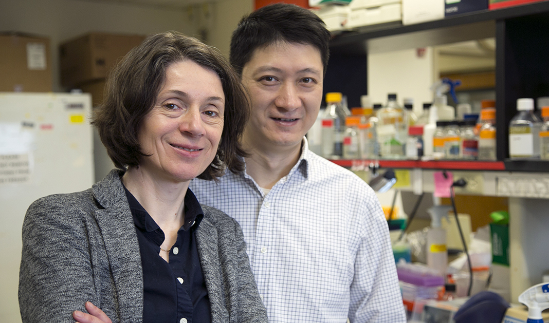 New Insights into PI3K Pathway and Cancer Metabolism