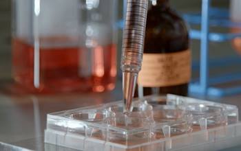 Immunotherapy Institute