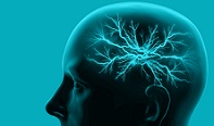 Seidman Schizophrenia