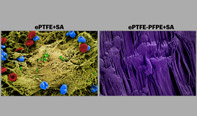 slippery liquid-infused porous surfaces