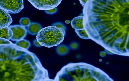 HIV Vaccine One Step Closer According to Harvard Study