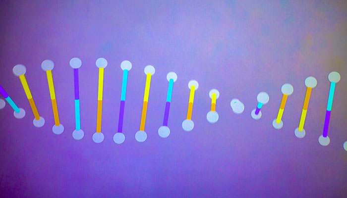 Helix DNA