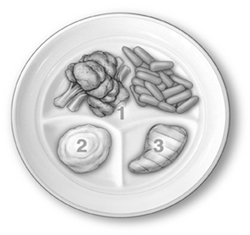 SPPlateDiv (1)