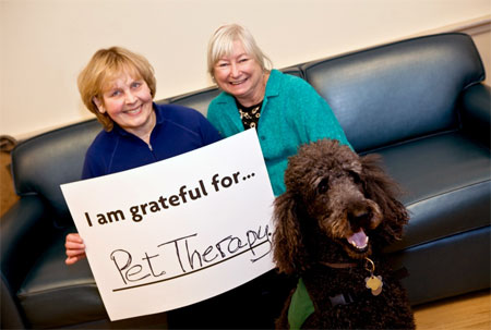 I am grateful for pet therapy