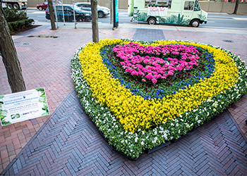 Boston Marathon flowers donated to BIDMC during COVID-19 pandemic