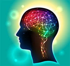 The brain uses 20 percent of a body's energy A Brain's Energy Usage