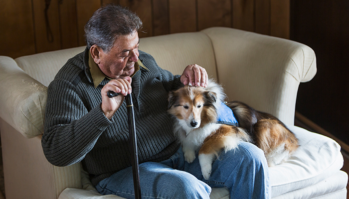 A senior man is sitting with his dog on the couch.