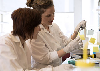 BIDMC's Cancer Genetics Research Team BIDMC's Cancer Research Team
