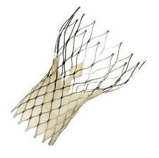 Transcatheter Aortic Heart Valve
