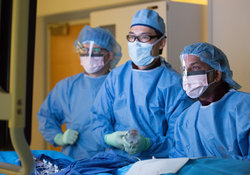 Docs at work