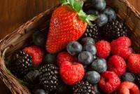 Berries