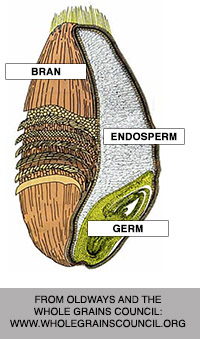 The Anatomy of a Grain