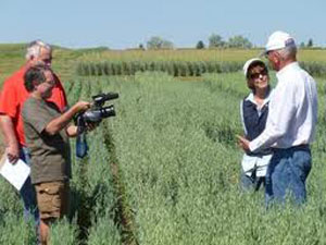 People_In_Field