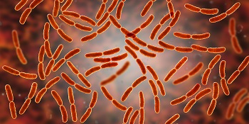 Small intestinal bacterial overgrowth Small intestinal bacterial overgrowth