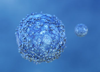 Pancreatic Cancer Cell Pancreatic Cancer Cell