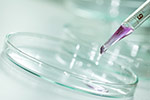 Pancreatic Cancer Research Pancreatic Cancer Research
