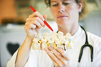 A doctor examines a model of a spine.