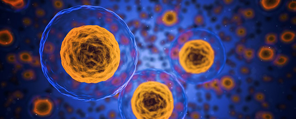 cells