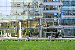CLS Sign