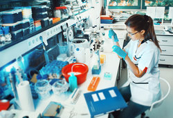 BIDMC Research Fellow in Lab