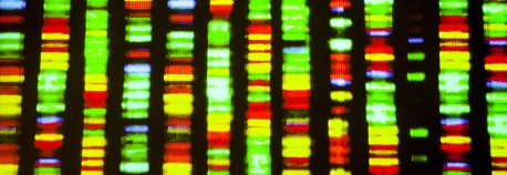 gene sequence